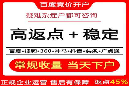 探索SEM优化托管的成功案例与策略